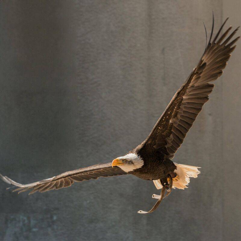 Cinematic Motivation Cinematic Motivation