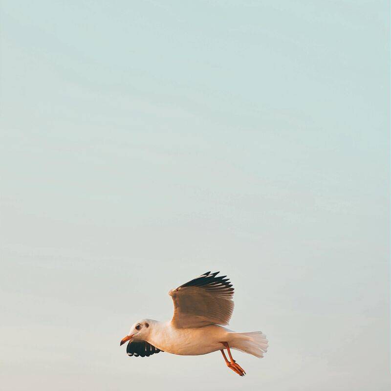 广告辉煌上进励志自由 - Emotional Sentimental Dramatic / 情感 感伤 戏剧性 广告辉煌上进励志自由 - Emotional Sentimental Dramatic / 情感 感伤 戏剧性