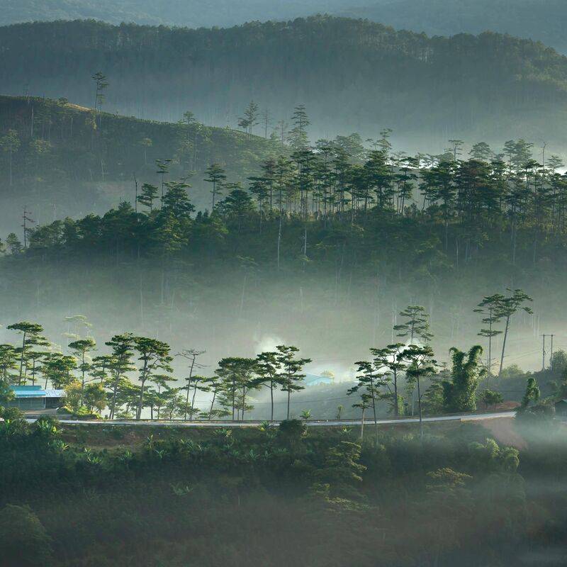 来自天堂的奇迹 来自天堂的奇迹