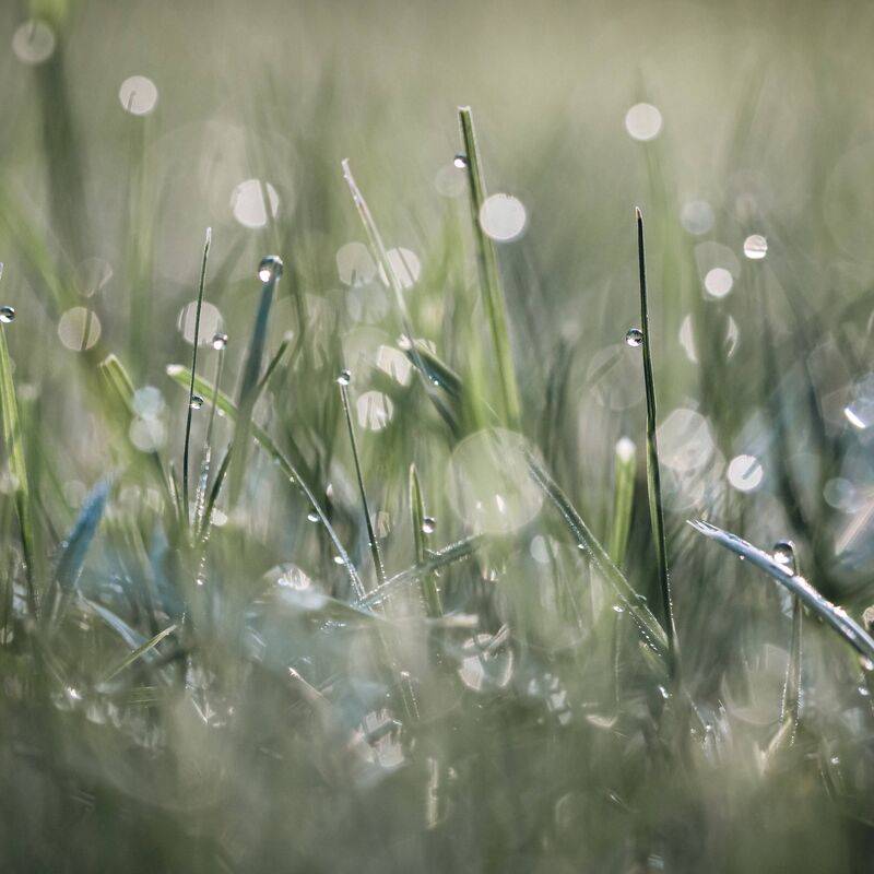 雨夜舒缓宁静钢琴 - Morning Dew ( with rain )